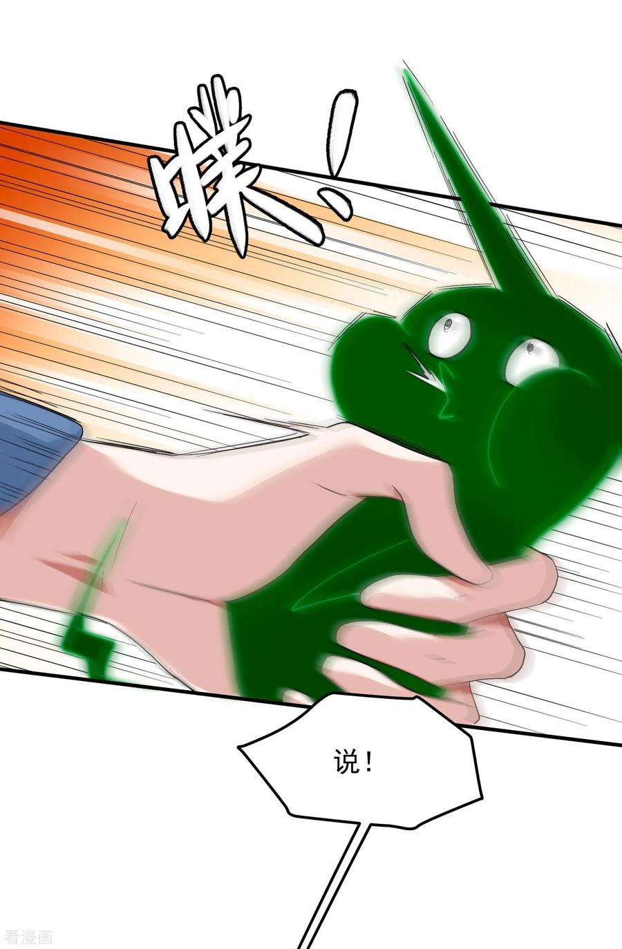 11.jpg