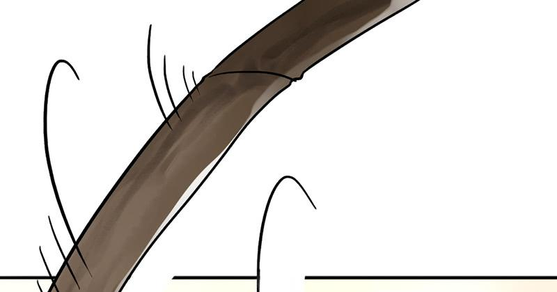 117.jpg