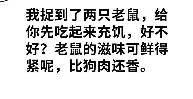 118.jpg