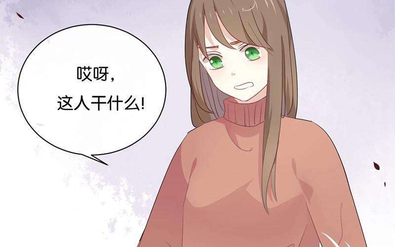 46.jpg