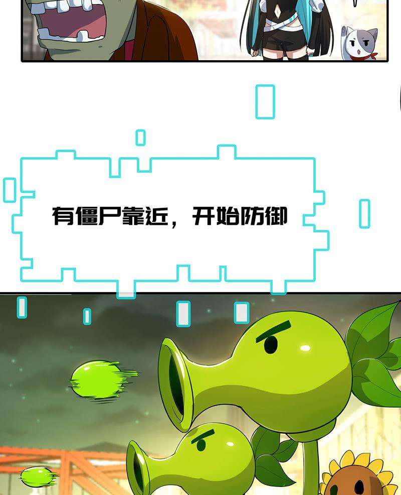 15.jpg