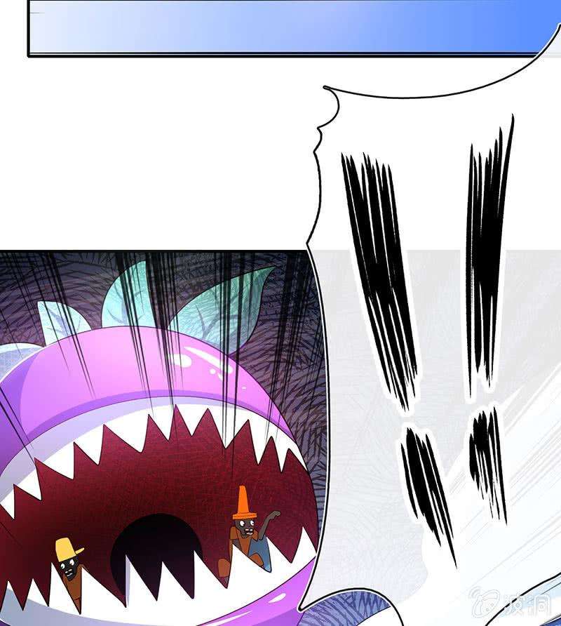 29.jpg