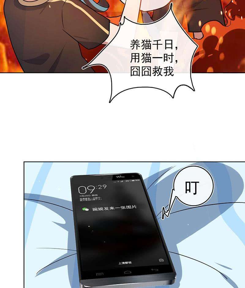 47.jpg