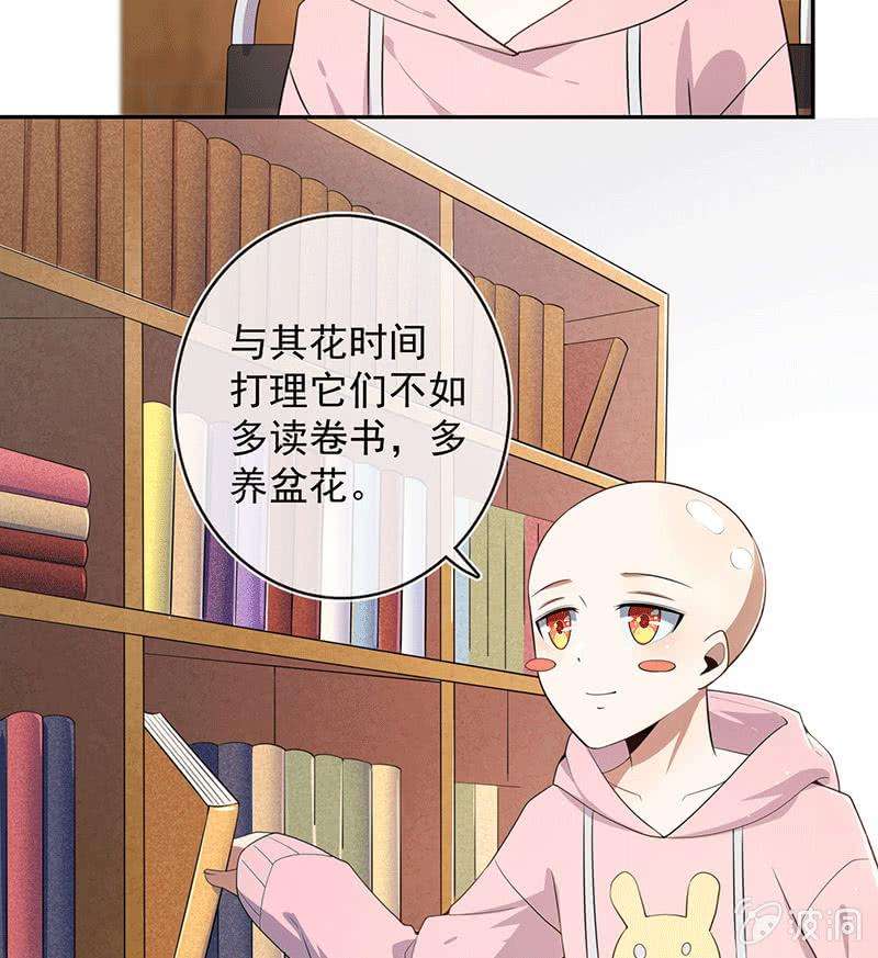 17.jpg