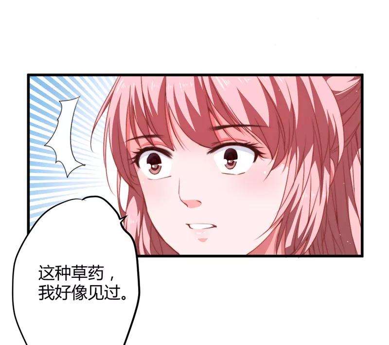 41.jpg