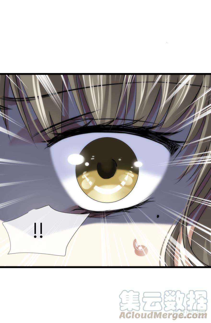 41.jpg