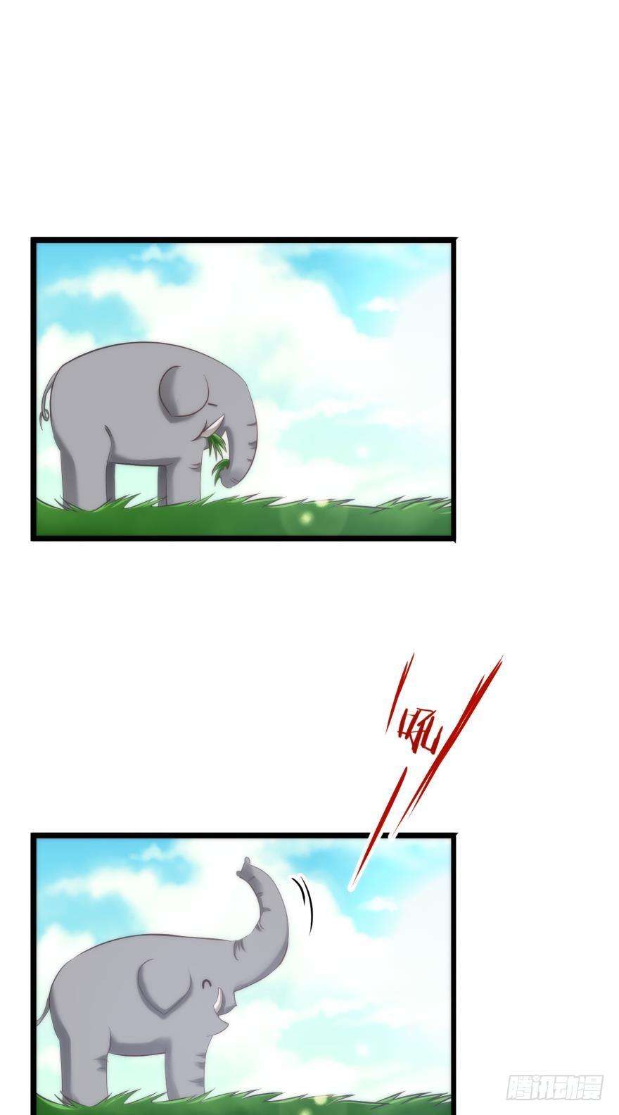 47.jpg