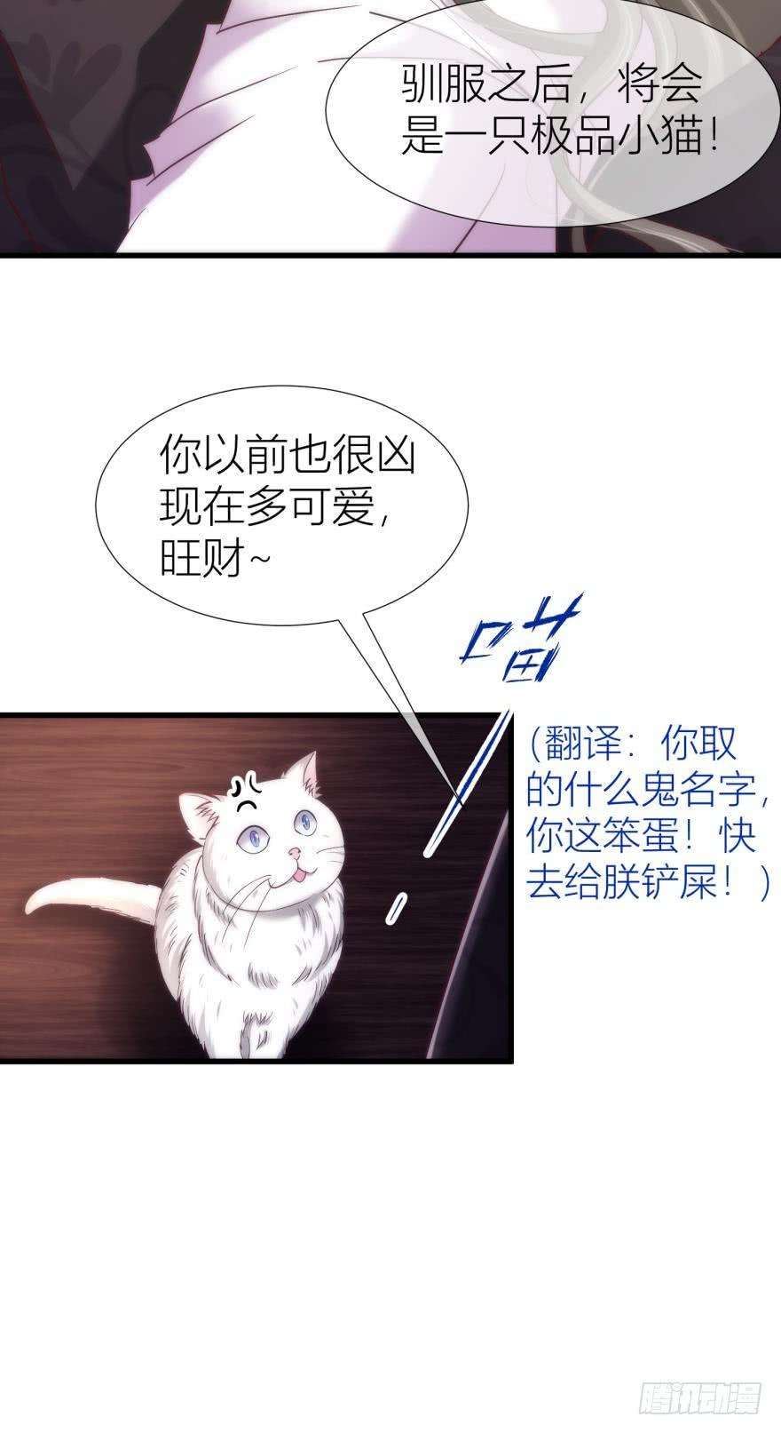 29.jpg