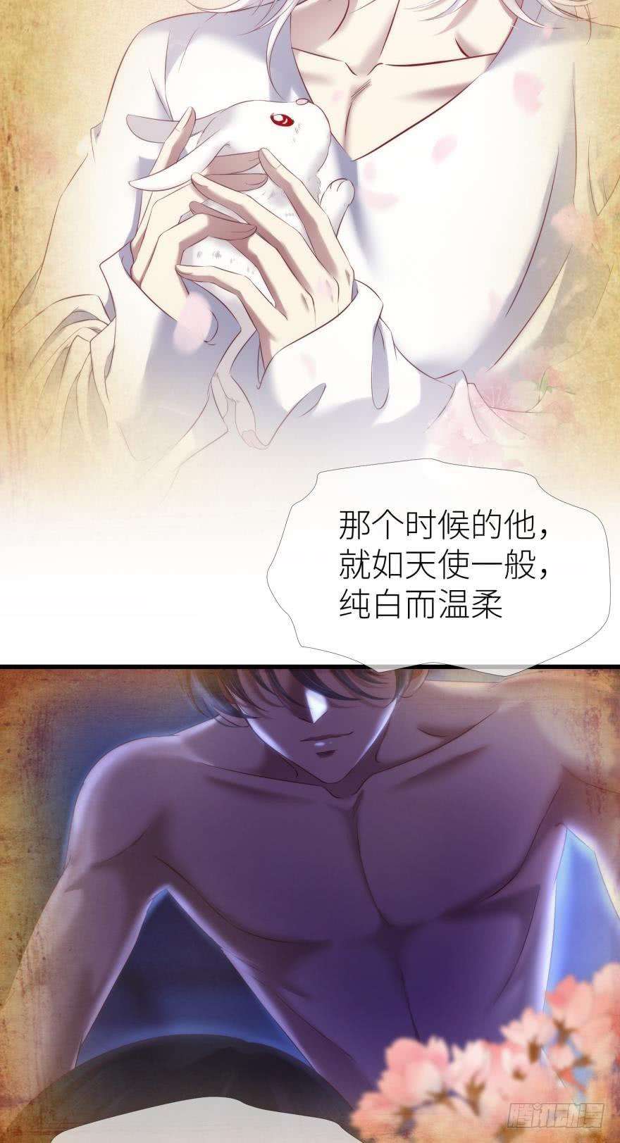 31.jpg