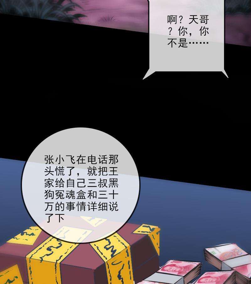 25.jpg