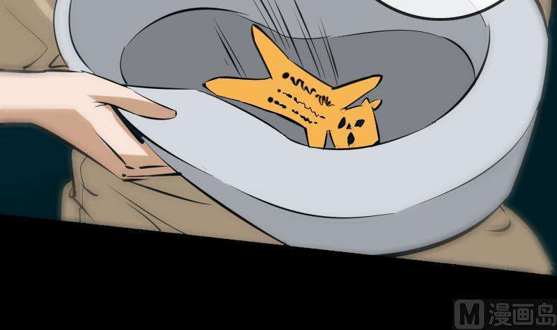 36.jpg