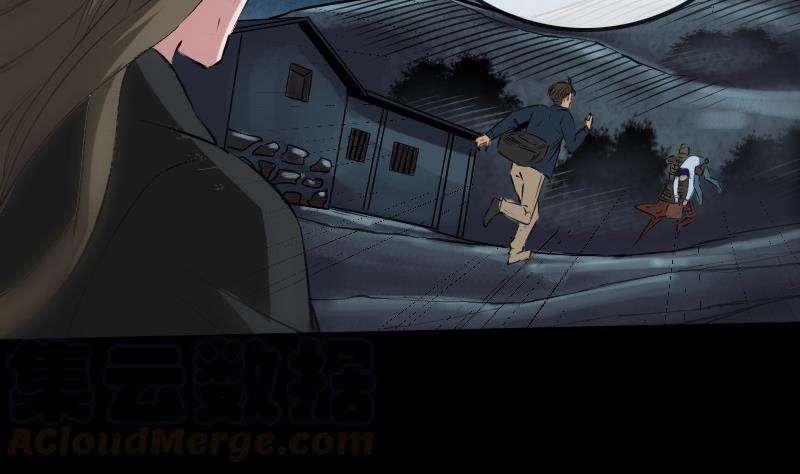 41.jpg