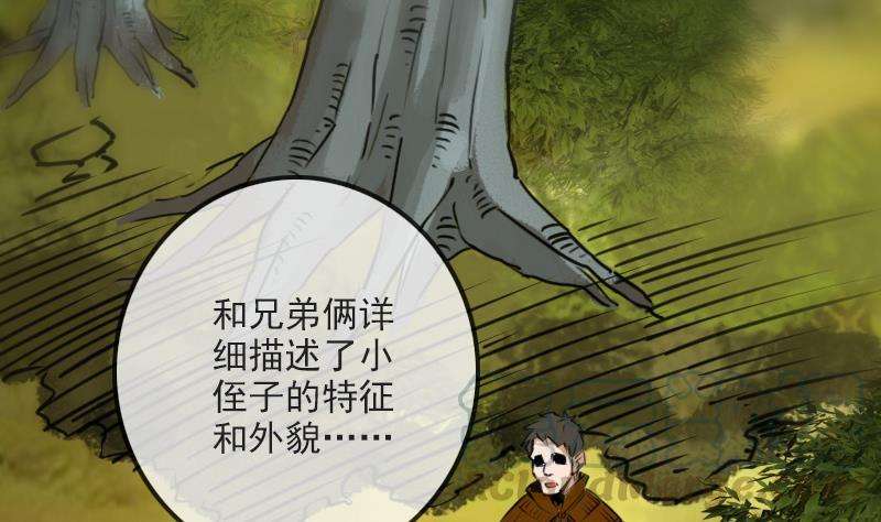 41.jpg
