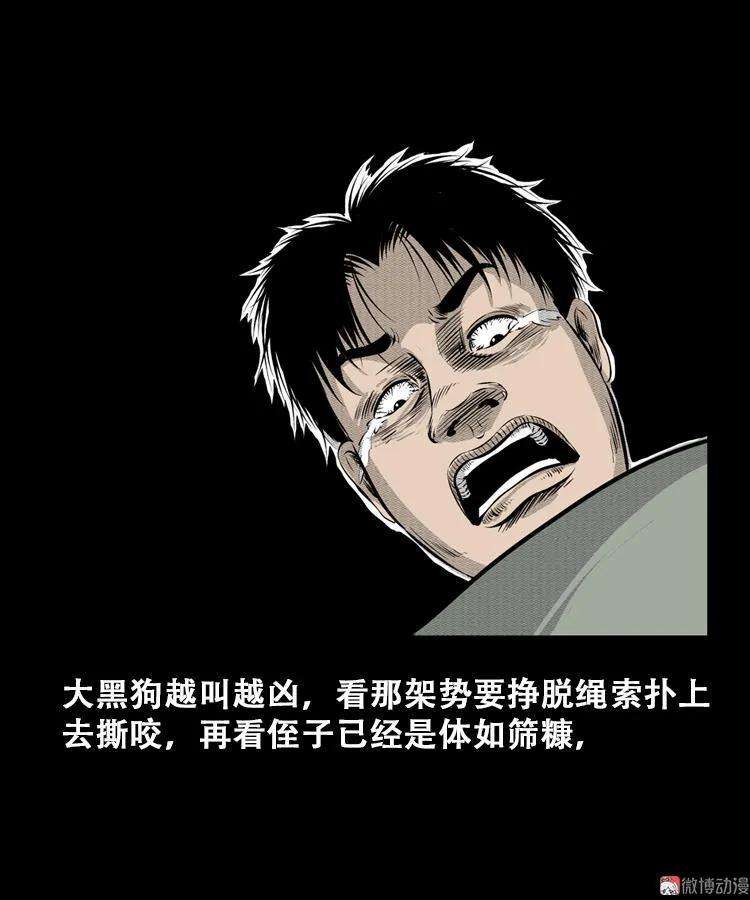 16.jpg