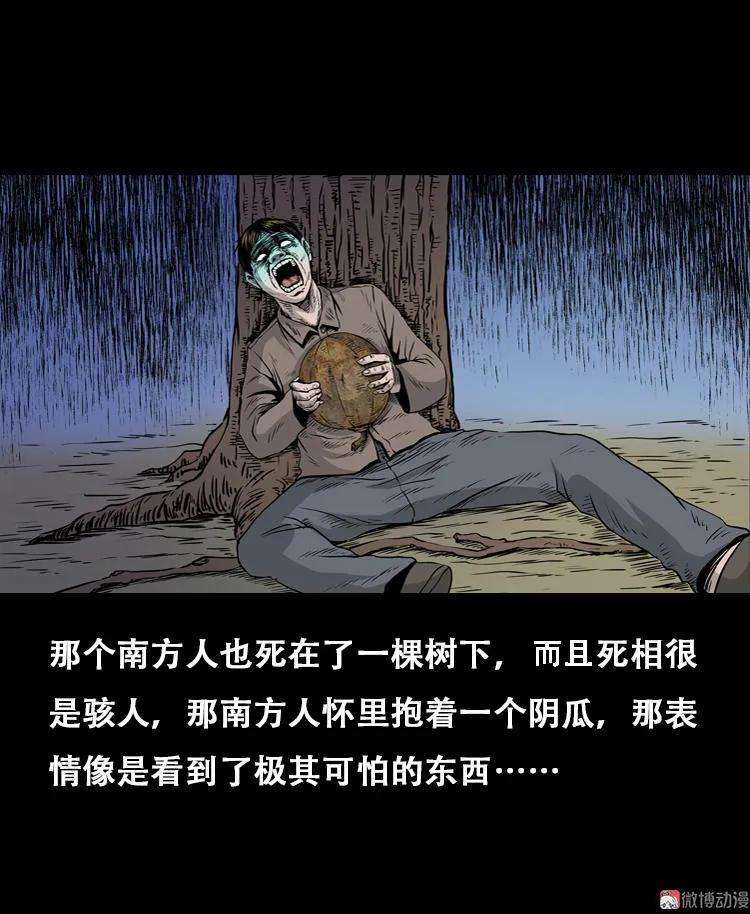 71.jpg