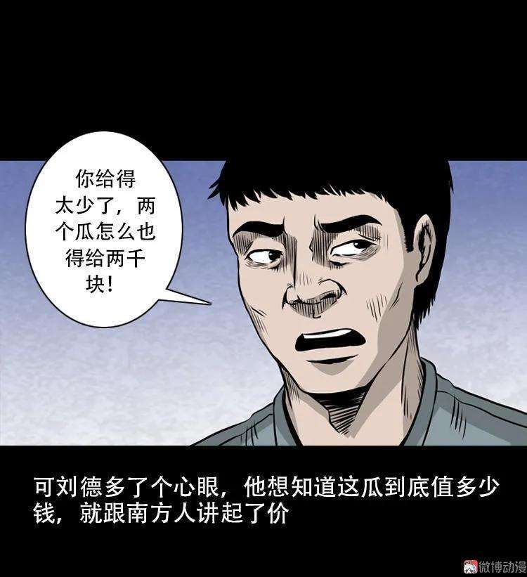 41.jpg