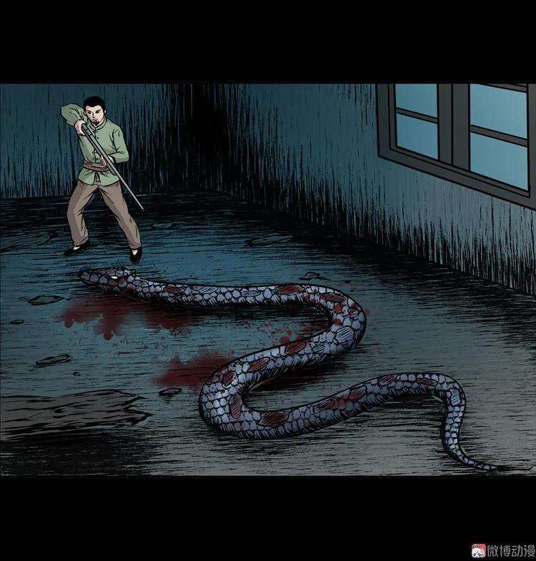 64.jpg