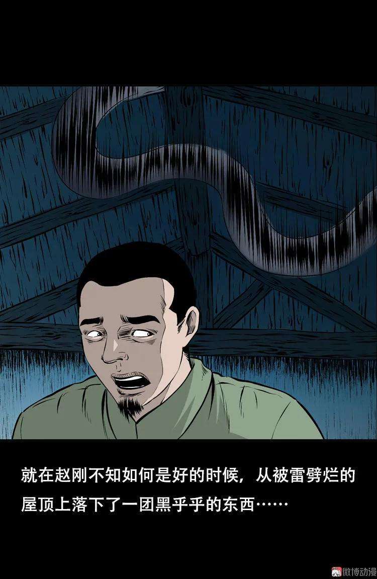 51.jpg