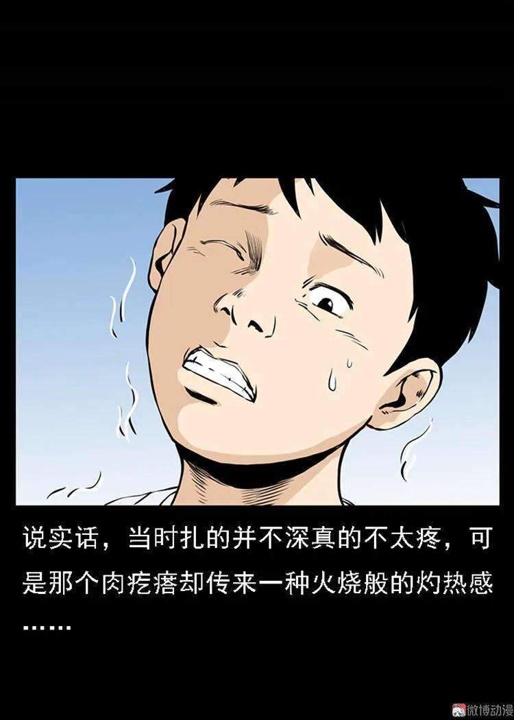 53.jpg