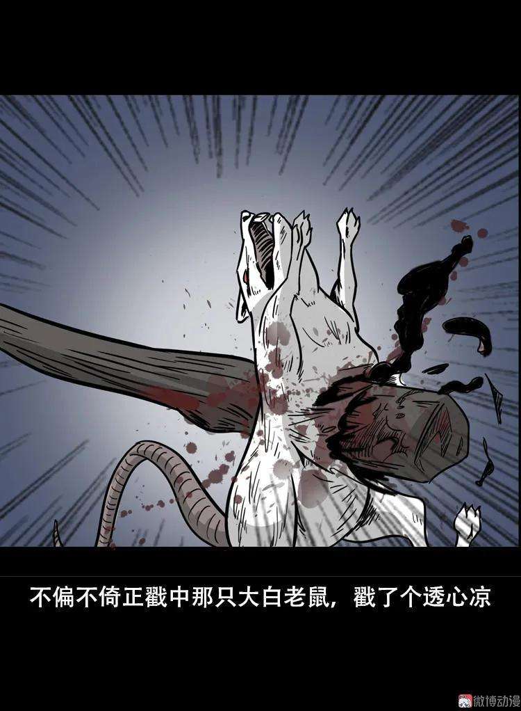 91.jpg