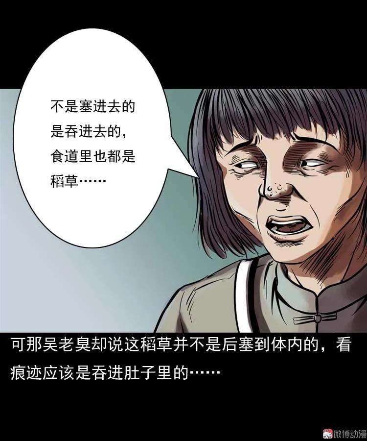 25.jpg