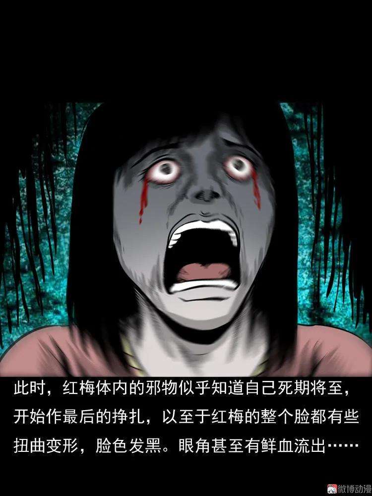 75.jpg