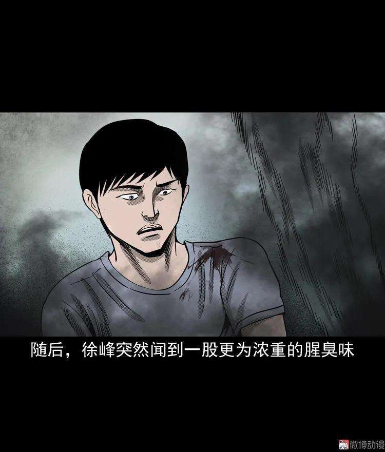 79.jpg
