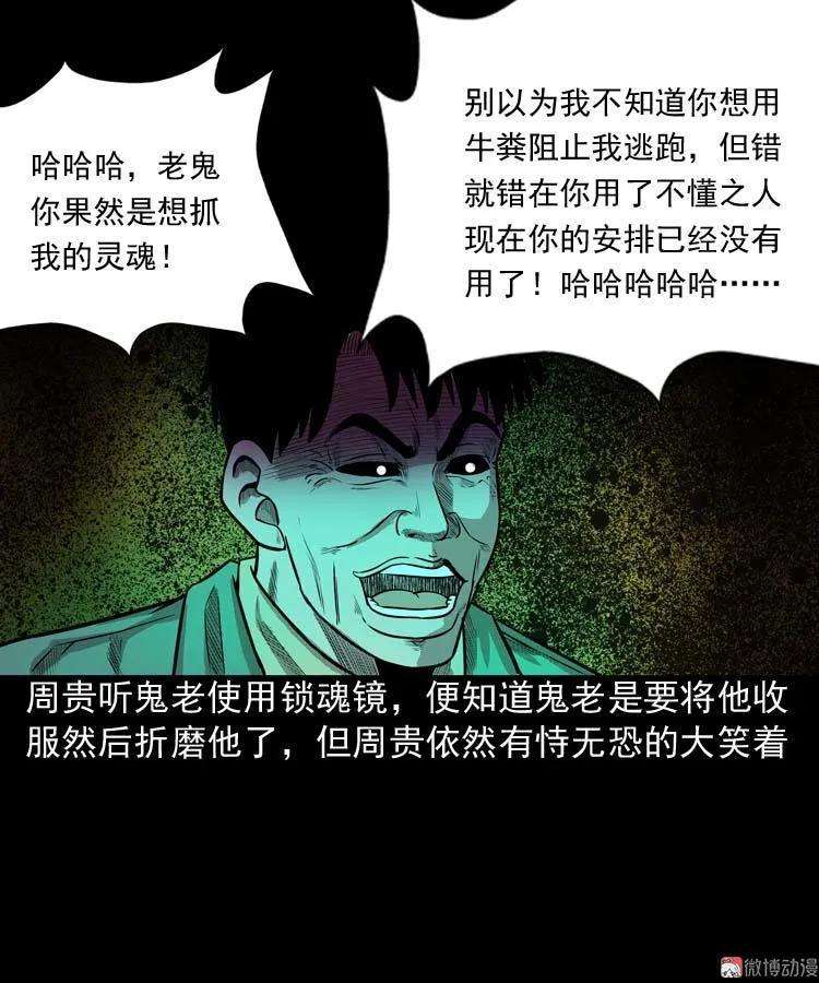 65.jpg