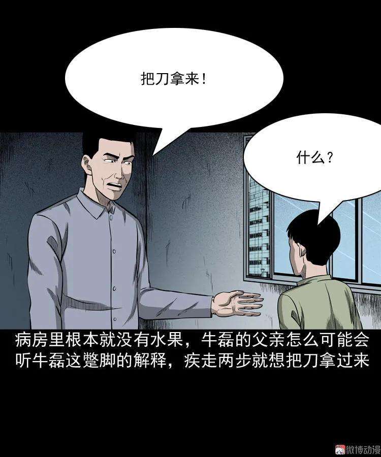 48.jpg