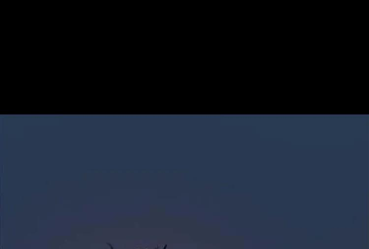 67.jpg