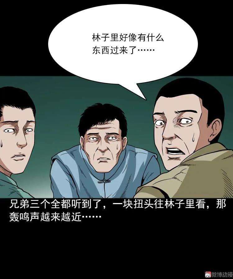 27.jpg