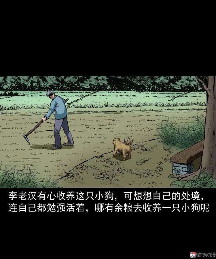 25.jpg