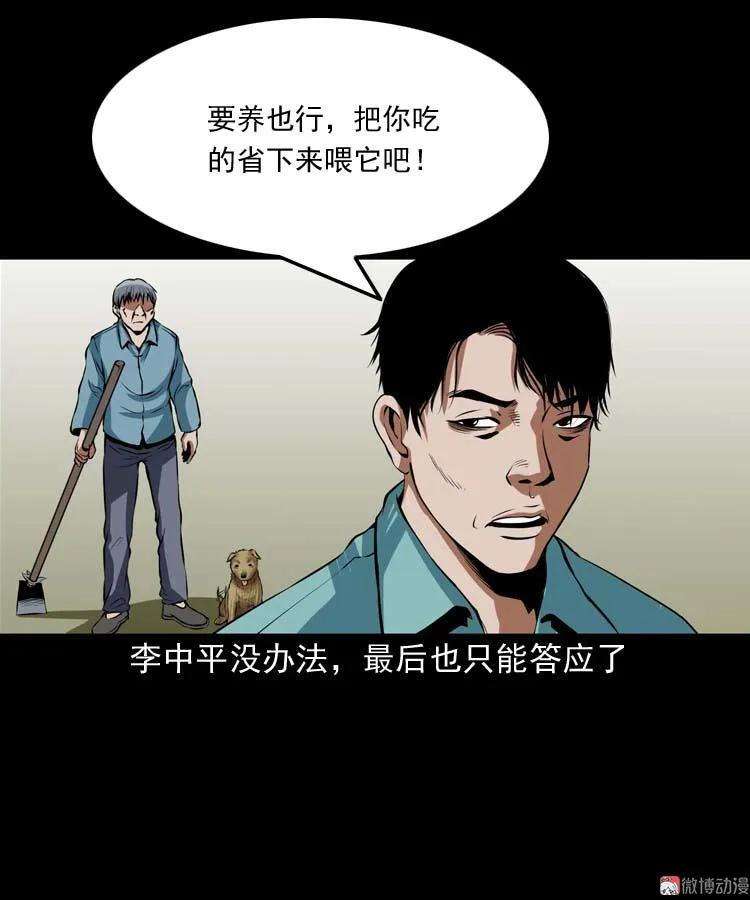 29.jpg