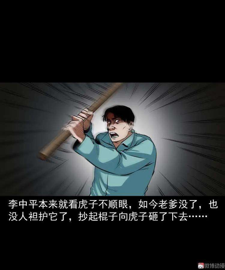 47.jpg