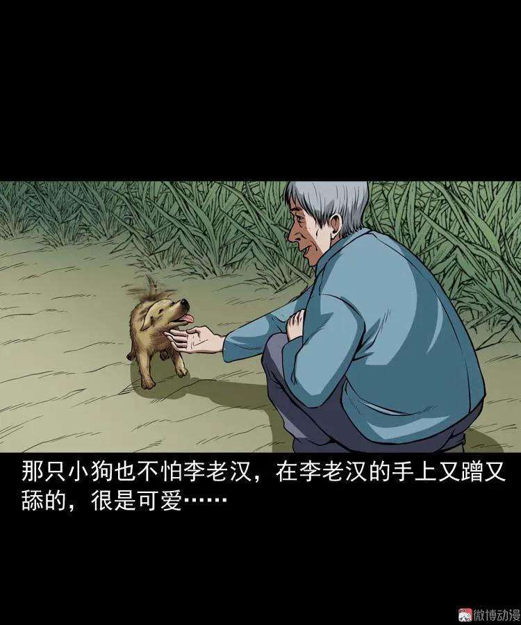 21.jpg