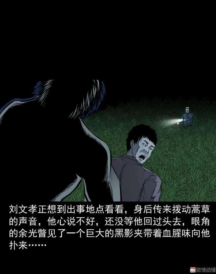22.jpg
