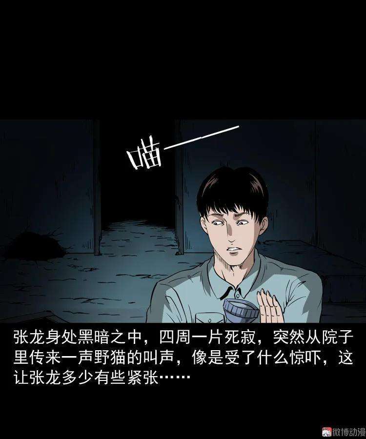96.jpg