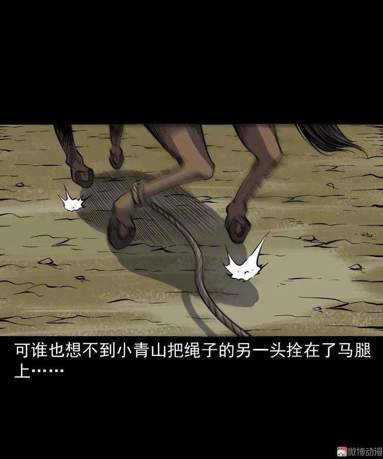 48.jpg