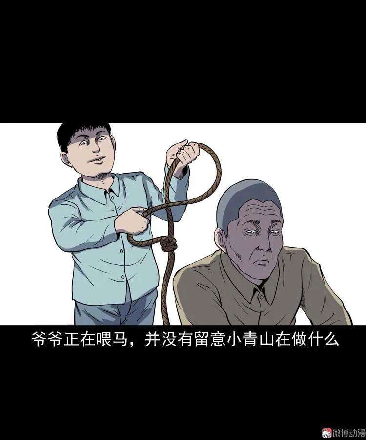 43.jpg