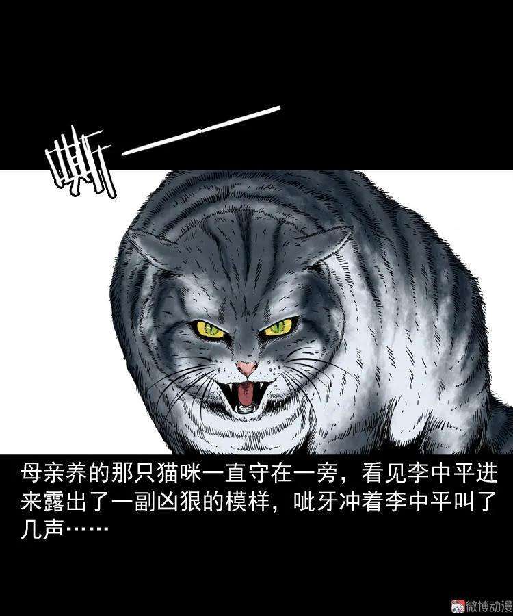 28.jpg