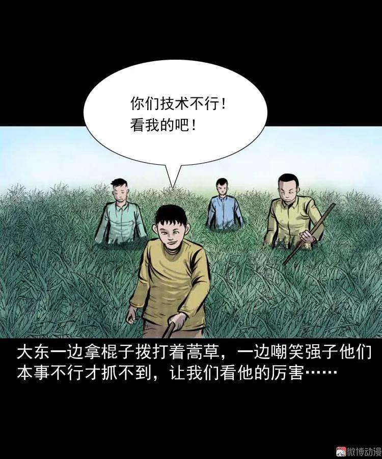 15.jpg