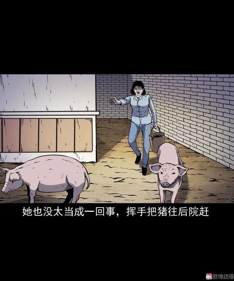 47.jpg