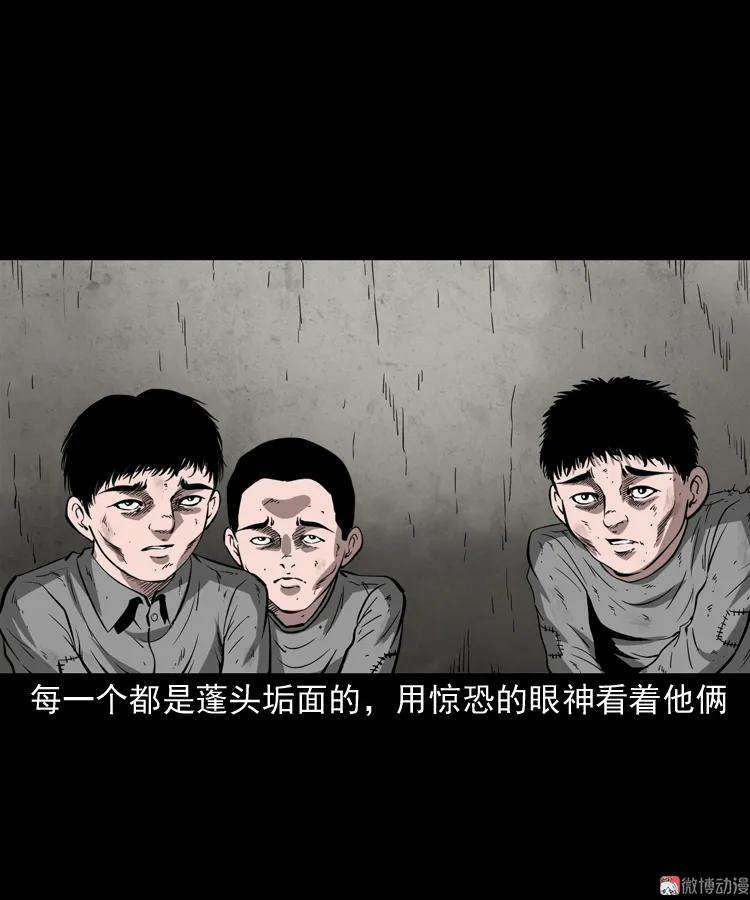 81.jpg