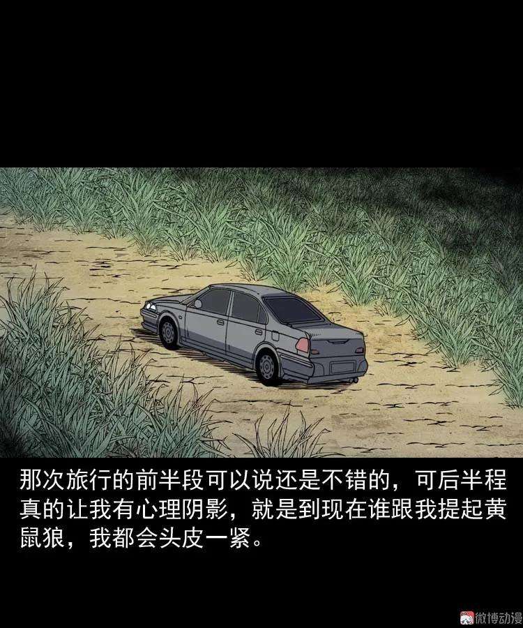 91.jpg