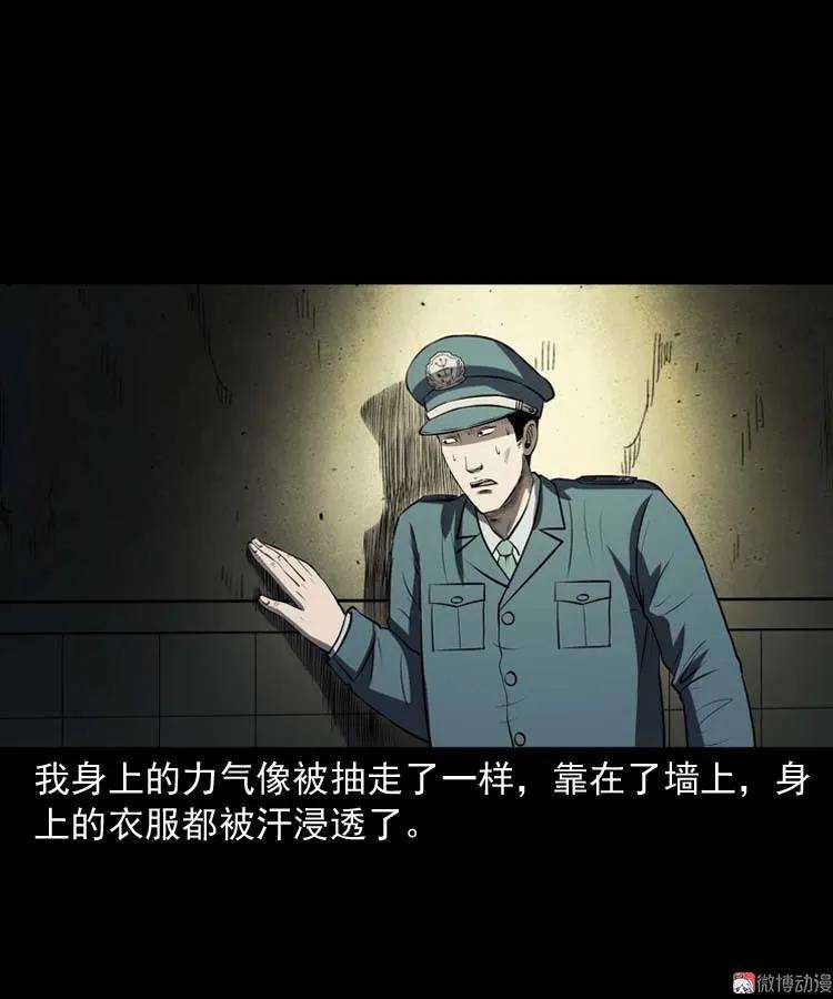47.jpg