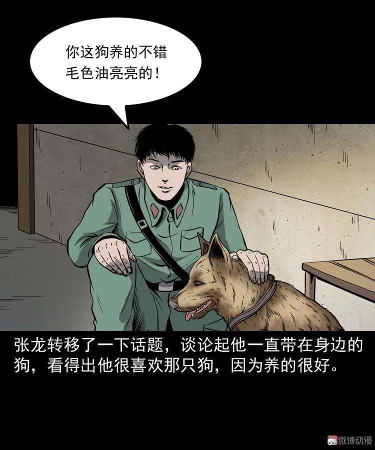 25.jpg