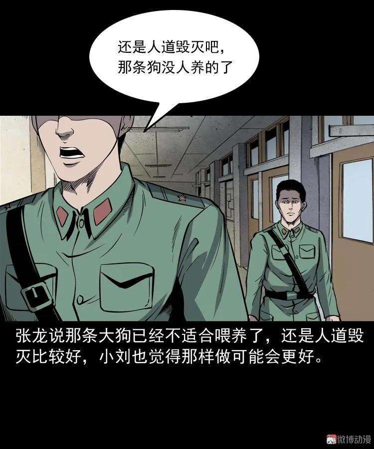 102.jpg