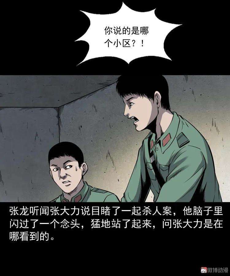 81.jpg