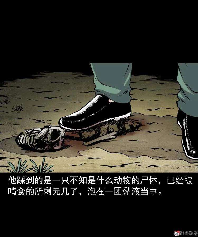 56.jpg