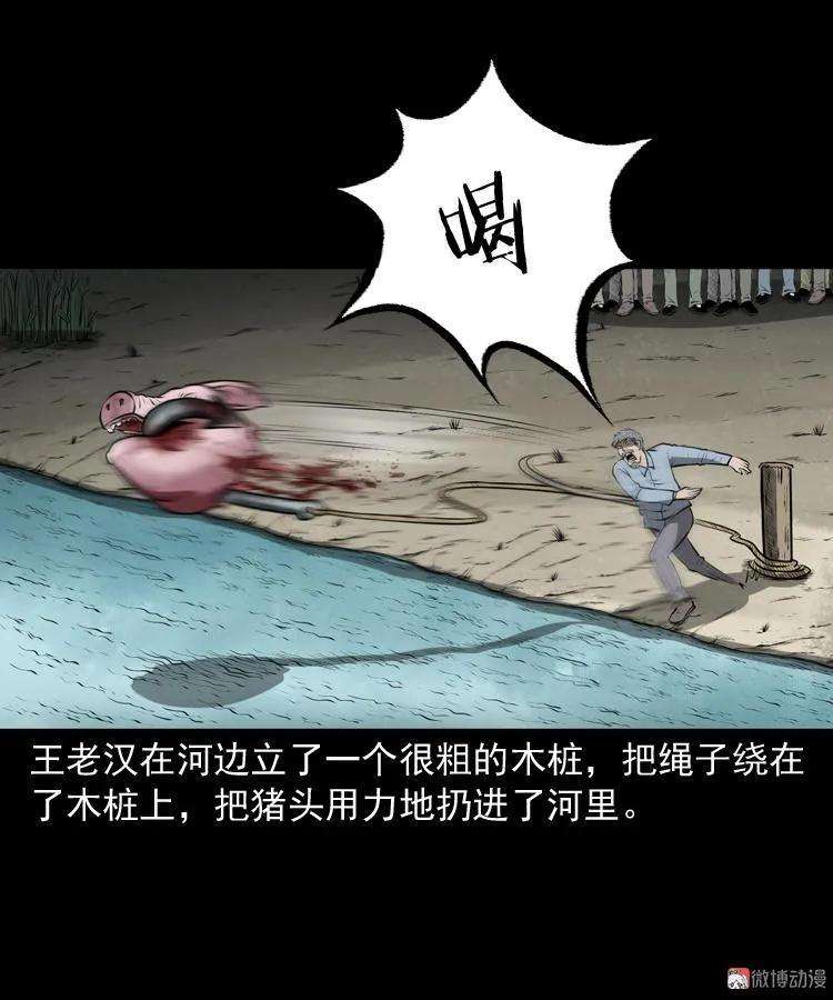 81.jpg